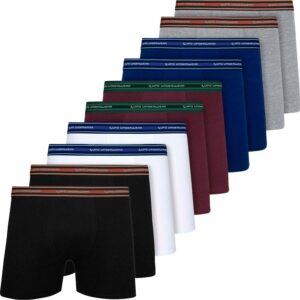 Kit 10 Cuecas Lupo Original Boxer Em Algodão Box Masculina Cotton Adulto Atacado Confortável 523 - Cueca